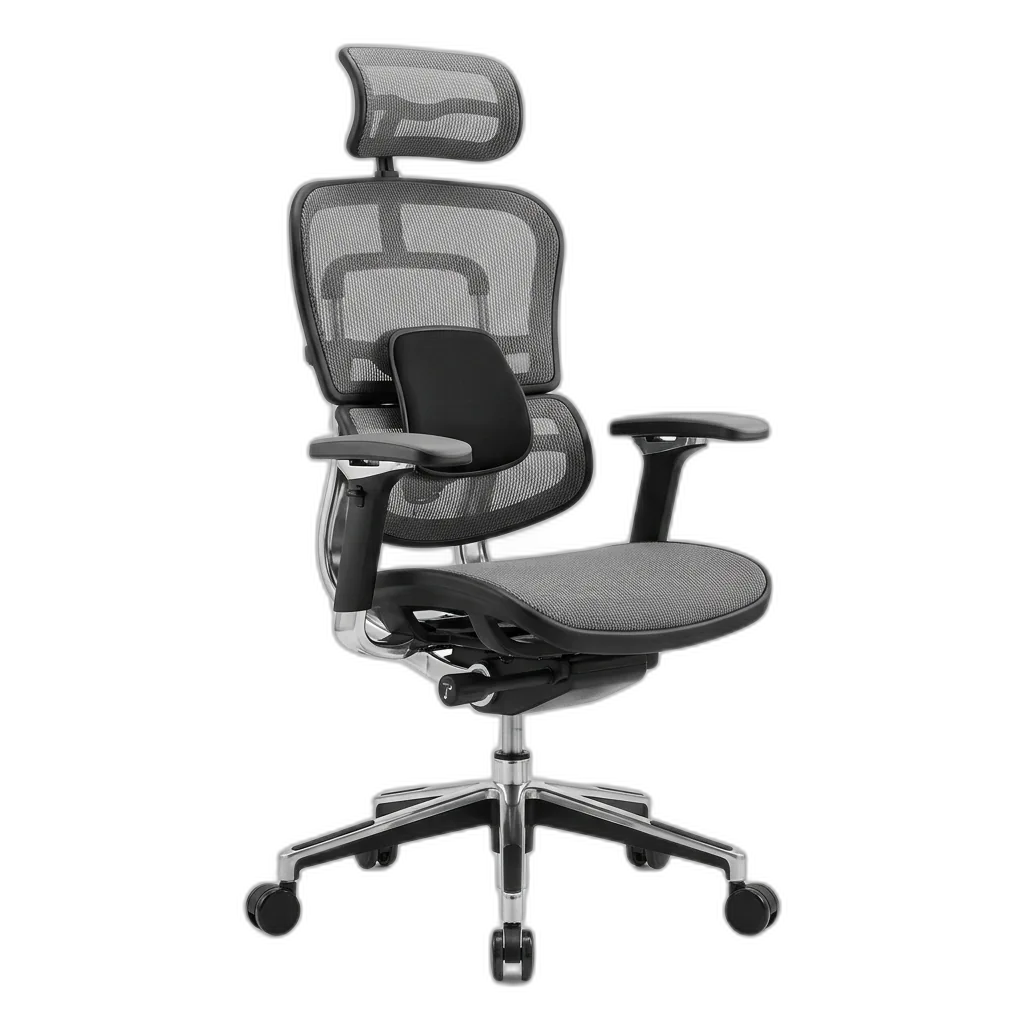 Ghế Công Thái Học (Ergonomic)