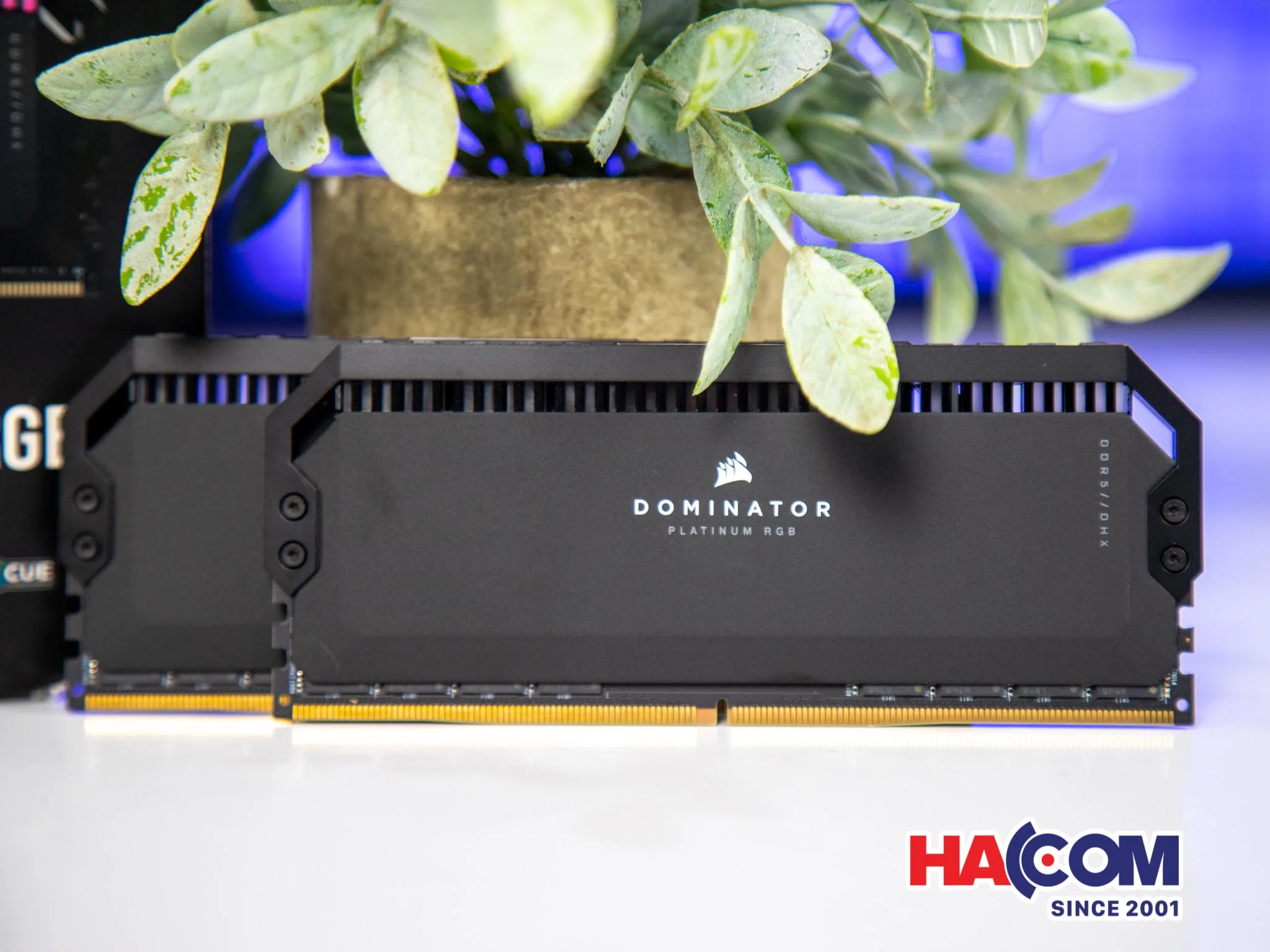 Ram Desktop Corsair DOMINATOR PLATINUM RGB Black (CMT64GX5M2B5200C40) 64GB (2x32GB) DDR5 5200MHz thumb 4