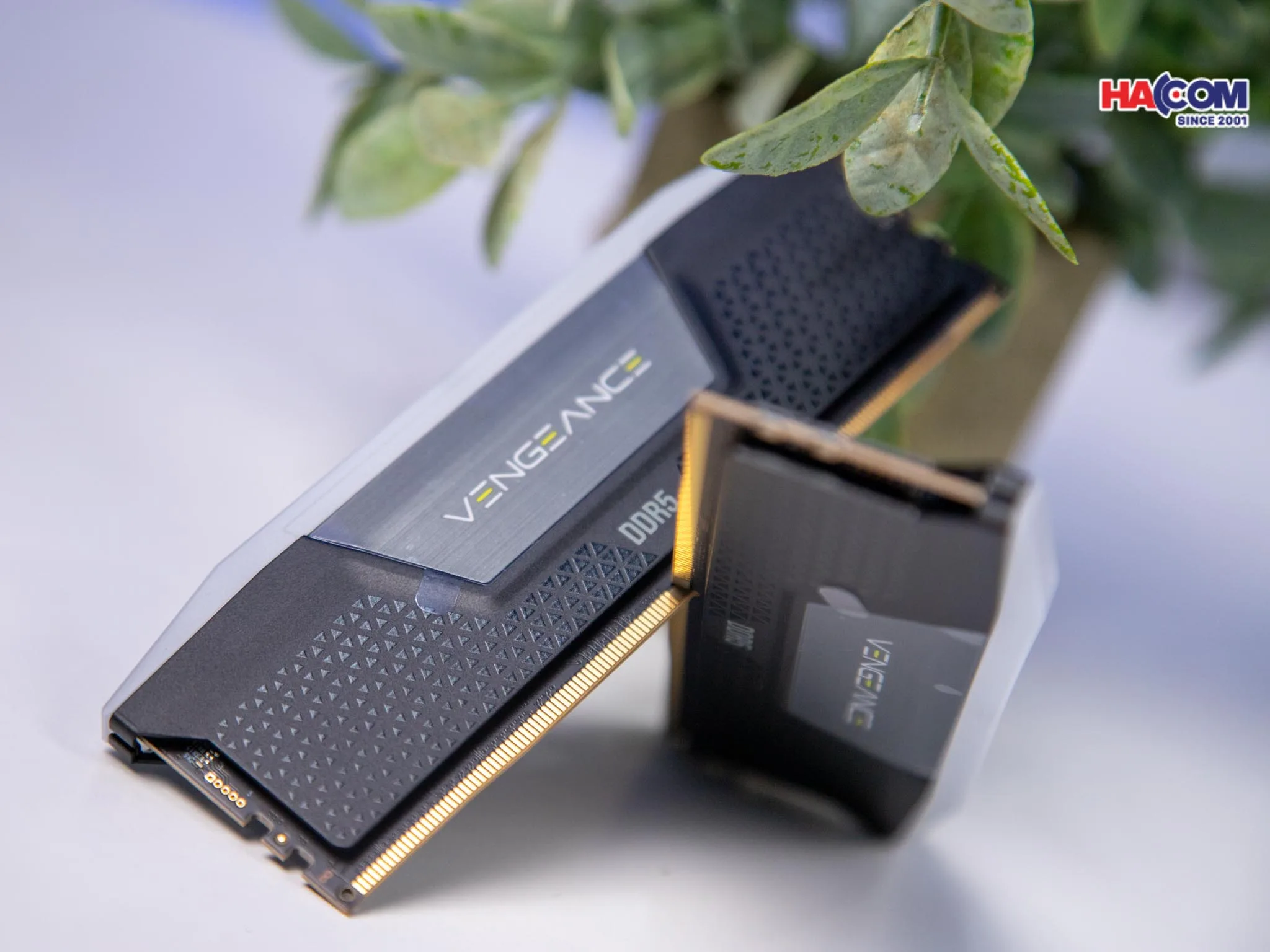 RAM Desktop Corsair Vengeance RGB Heatspreader (CMH32GX5M2B5600C36K) 32GB (2x16GB) DDR5 5600MHz thumb 5