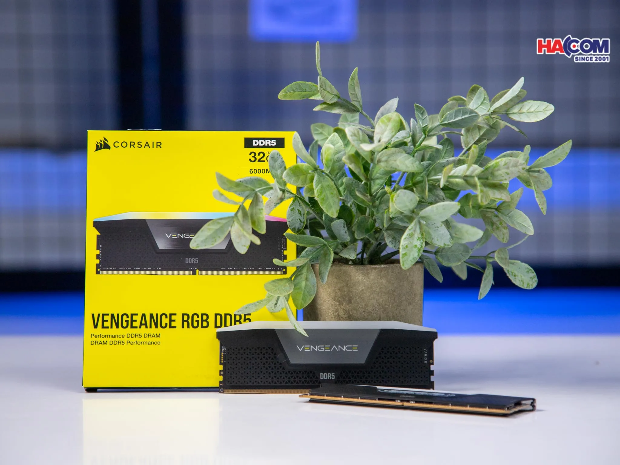 RAM Desktop Corsair Vengeance RGB Heatspreader (CMH32GX5M2B5600C36K) 32GB (2x16GB) DDR5 5600MHz thumb 7