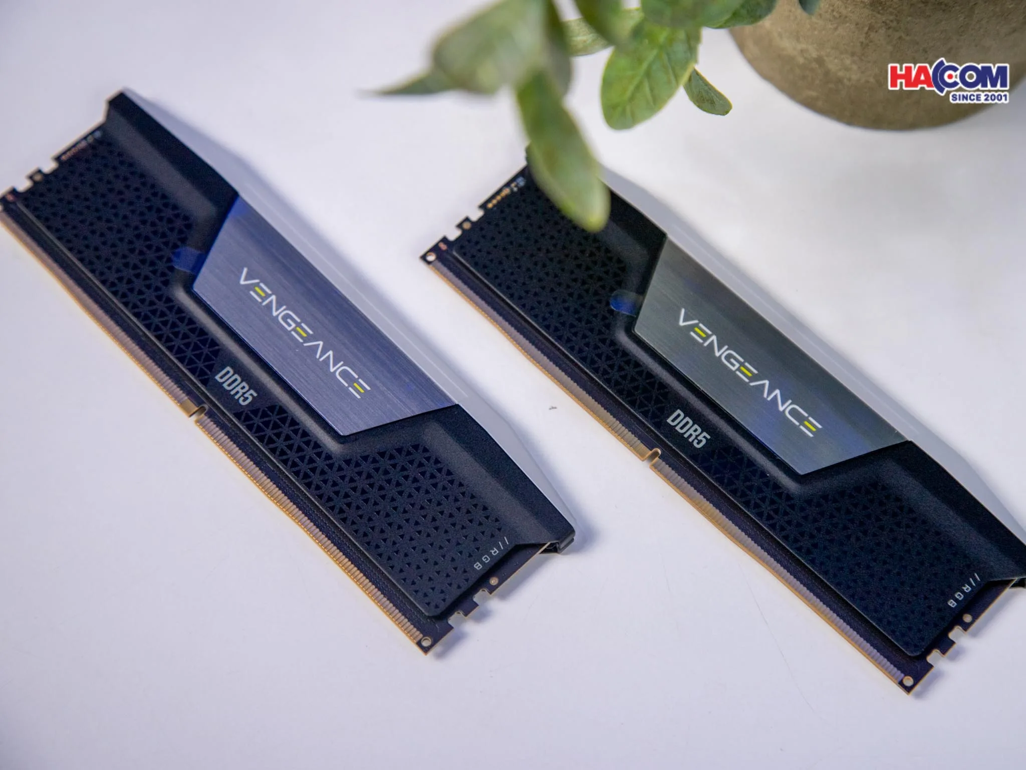 RAM Desktop Corsair Vengeance RGB Heatspreader (CMH32GX5M2B5600C36K) 32GB (2x16GB) DDR5 5600MHz thumb 6